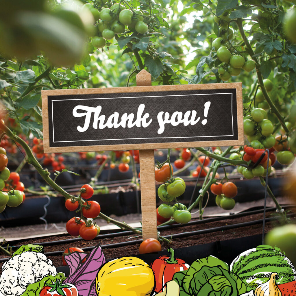 Thank You! - South Africa